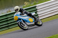 Vintage-motorcycle-club;eventdigitalimages;mallory-park;mallory-park-trackday-photographs;no-limits-trackdays;peter-wileman-photography;trackday-digital-images;trackday-photos;vmcc-festival-1000-bikes-photographs